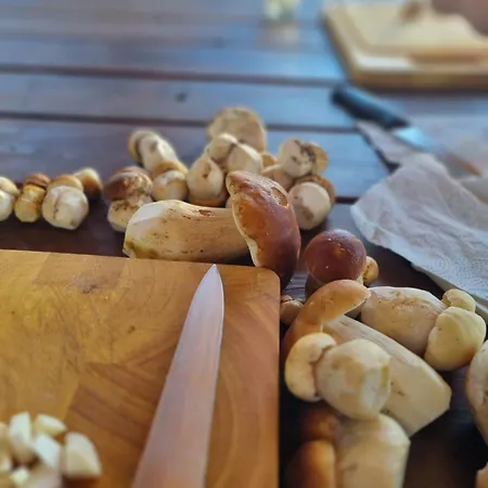 Prazdninovy Dum U Spicaku *