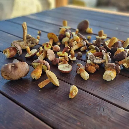 Prazdninovy Dum U Spicaku Ferienhaus Albrechtice v Jizerskych horach